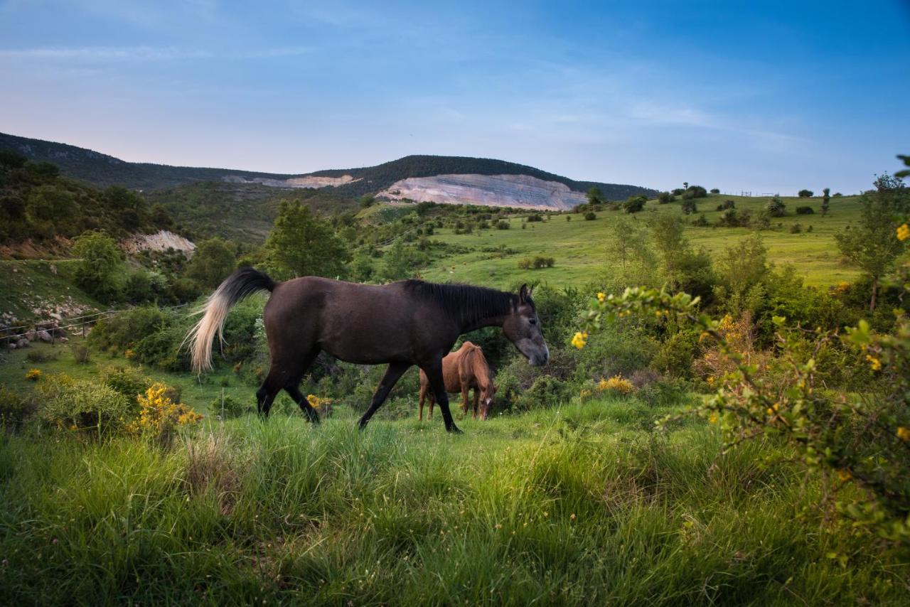 Hospedaje Rural Casa Parri Poveda de la Sierra Eksteriør billede
