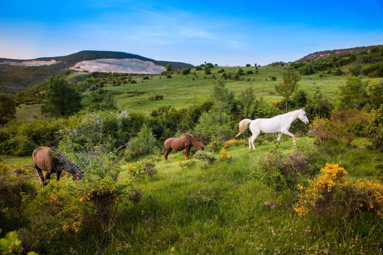 Hospedaje Rural Casa Parri Poveda de la Sierra Eksteriør billede