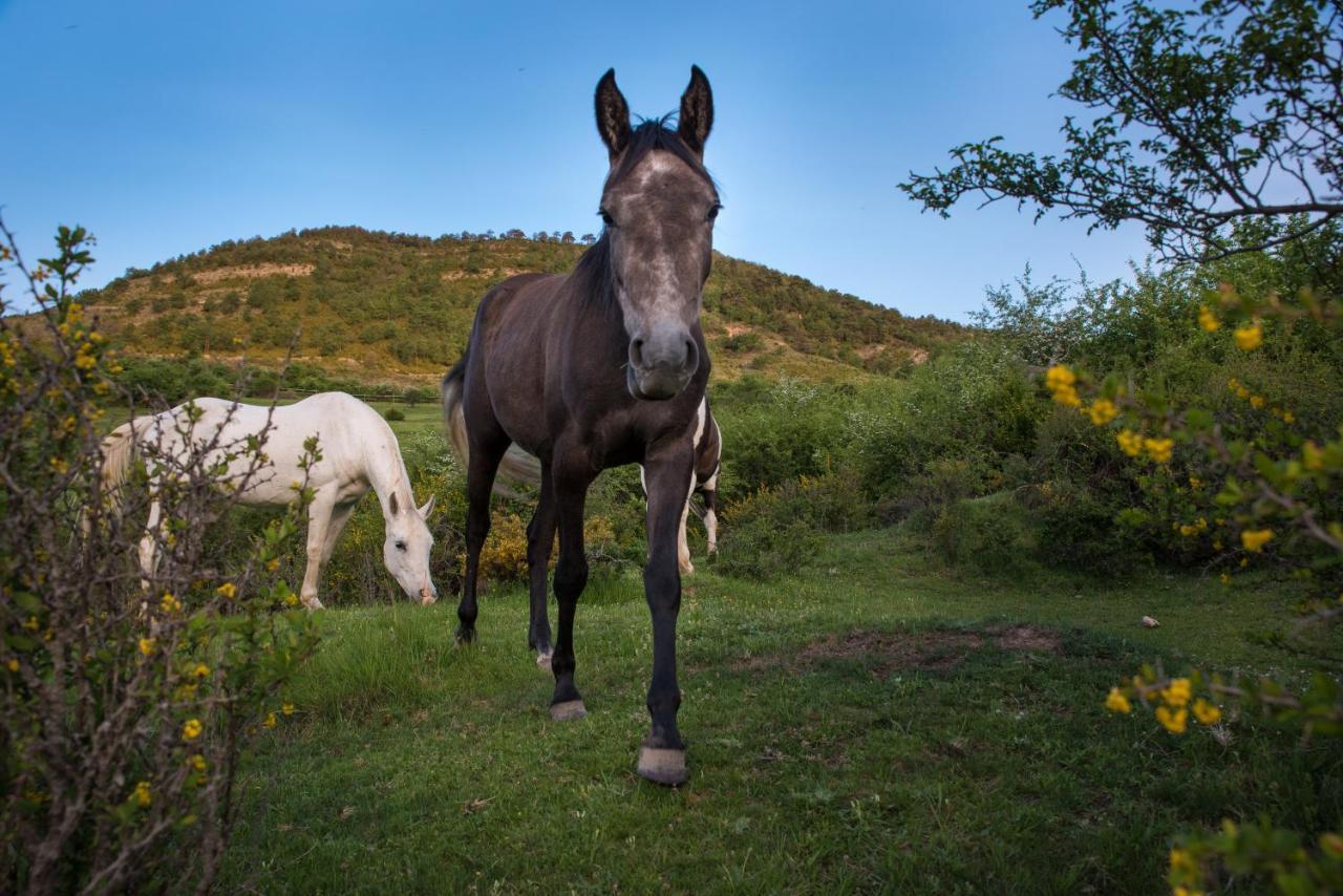 Hospedaje Rural Casa Parri Poveda de la Sierra Eksteriør billede